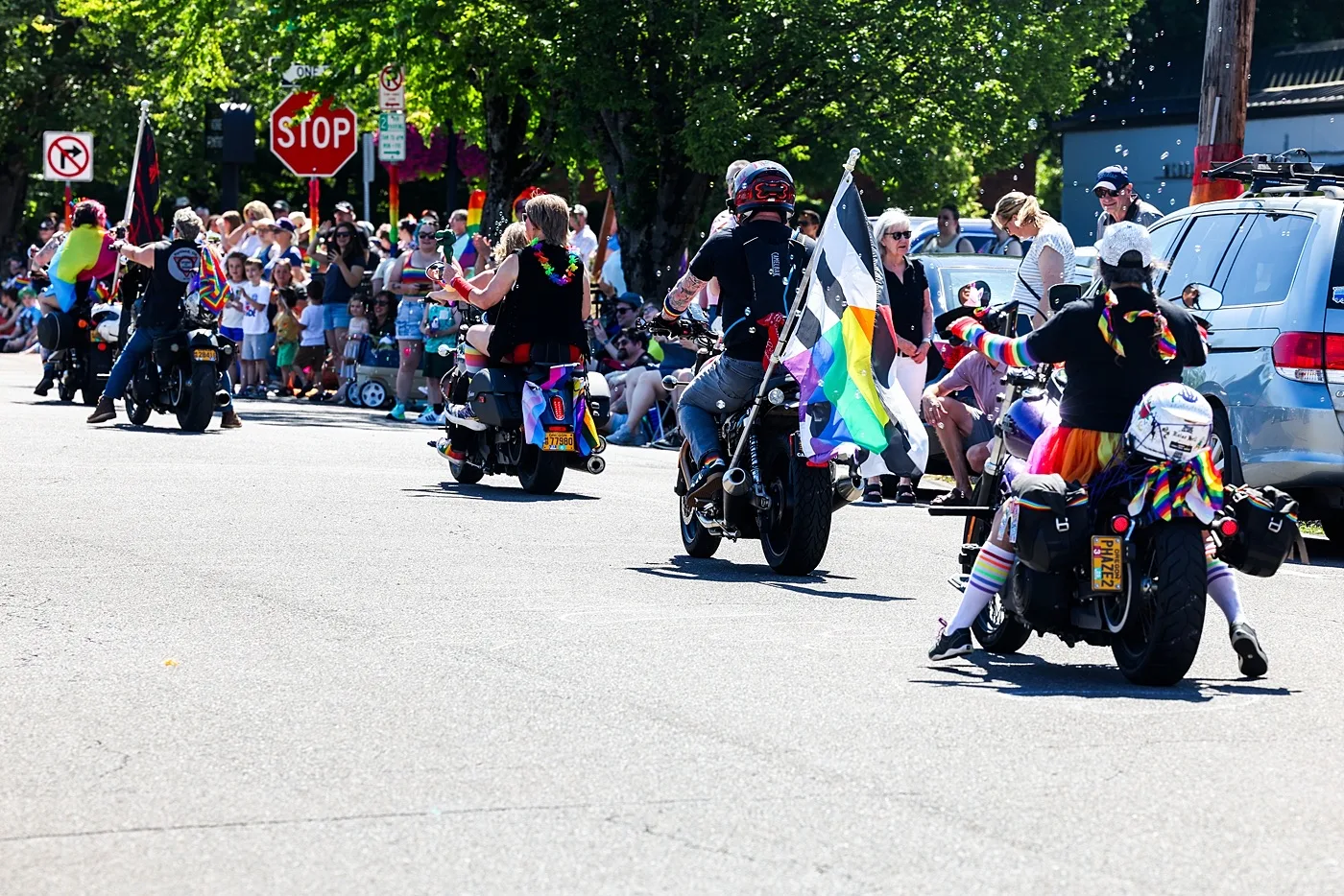 dob parade rearpov