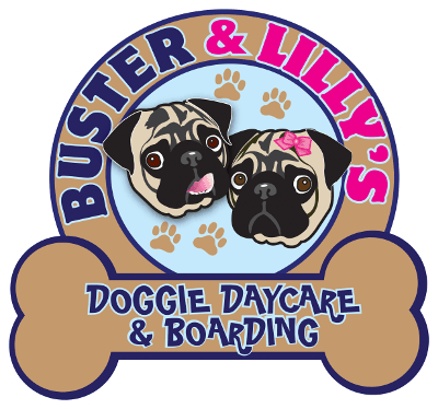 buster lillys doggy daycare and boarding buster lillys doggy daycare and boarding